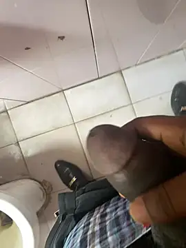 amstytricdickn Webbikameraesitys