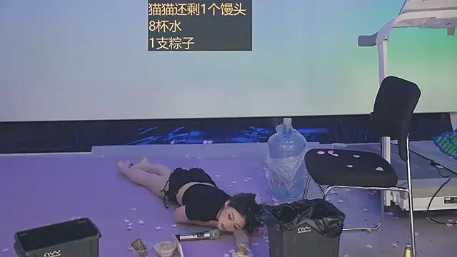 Sw-001's Webcam Show
