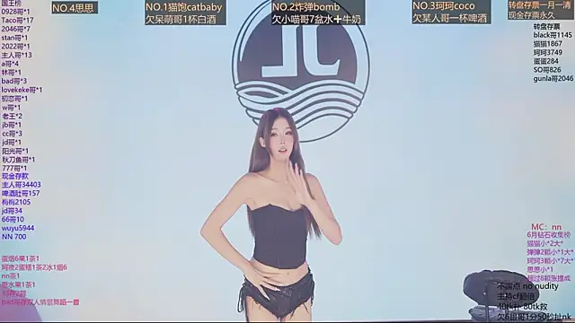Sw-001のウェブカメラショー