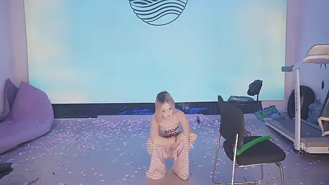 Sw-001 웹캠 쇼