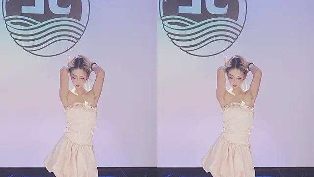 Sw-001 Show Webcam