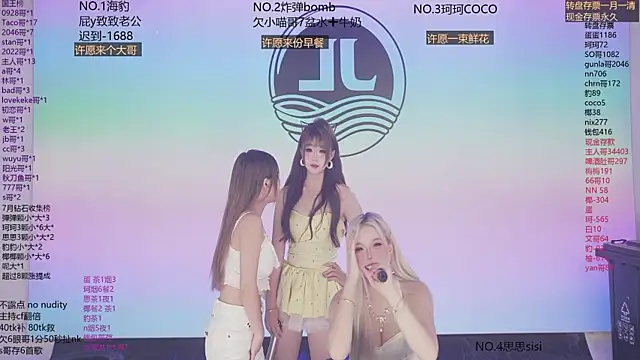 Show Webcam de Sw-001