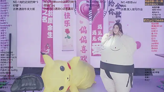 Sw-001のウェブカメラショー