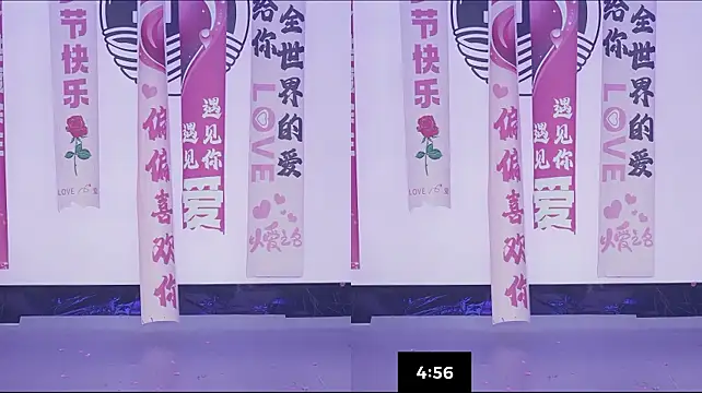 Sw-001's Webcam Show
