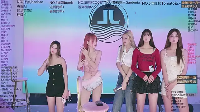 Sw-001のウェブカメラショー