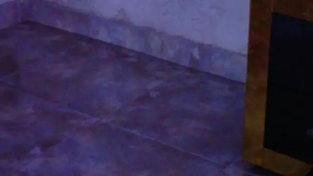 AshleyMorgans 실시간 채팅방
