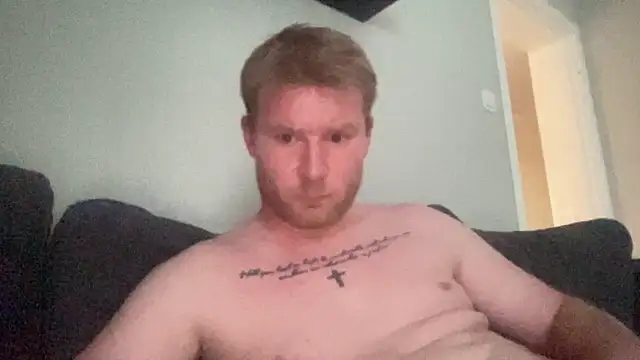 DENNIS96WBn Webbikameraesitys