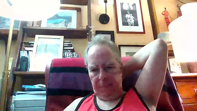 Show webcam de andre1936