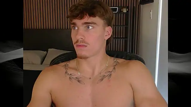Show webcam de TheNicoRyder