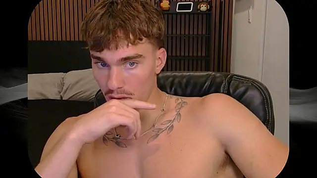 Show de TheNicoRyder na webcam