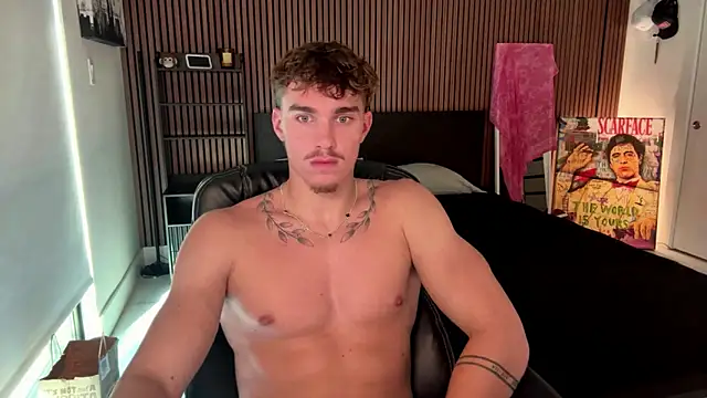 Show webcam de TheNicoRyder