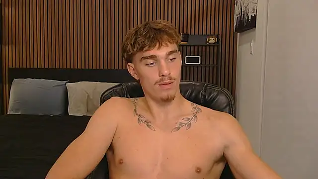 Show webcam de TheNicoRyder