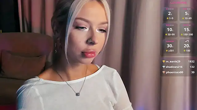 Alaska_Lanen Webbikameraesitys