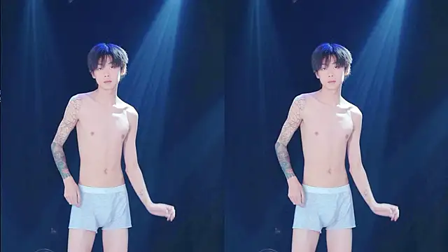 AOA-TYRn Webbikameraesitys