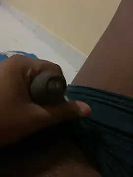 Desiboy8953n Webbikameraesitys