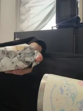 Tarou04のウェブカメラショー