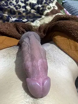 salmanyttのウェブカメラショー