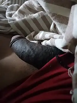 mlakabiggyn Webbikameraesitys