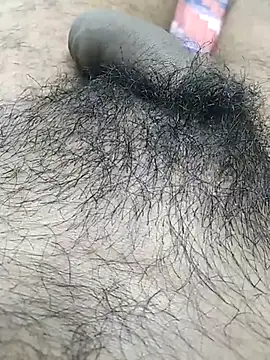 Bunny3095 Pertunjukan Webcam
