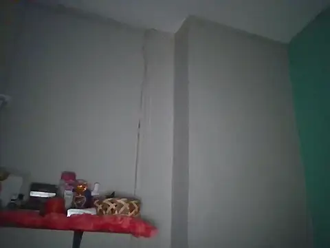 Show webcam de kemze