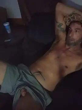 Show webcam de longerFellow
