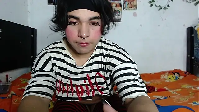 Tiff_-Stylesn Webbikameraesitys