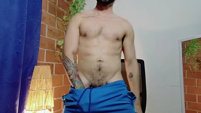 David-Nova_n Webbikameraesitys
