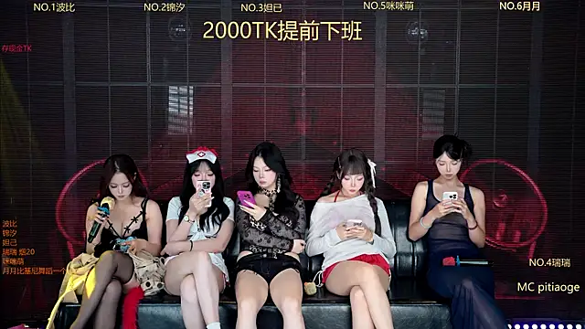 YB--007 Show Webcam
