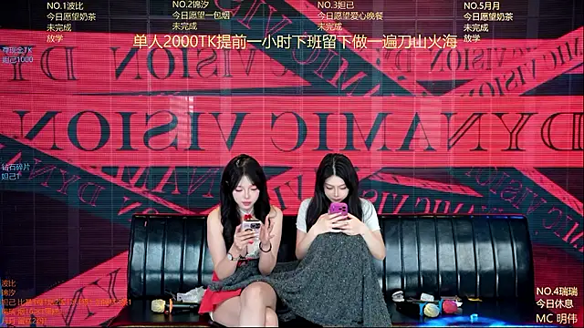 YB--007 Show Webcam