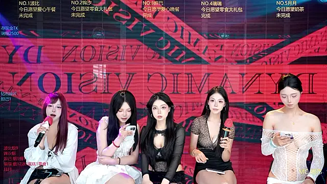 YB--007 Show Webcam