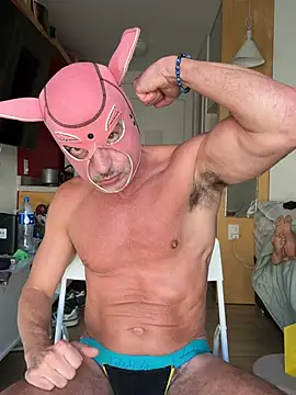 Reginaldothedog webcam show