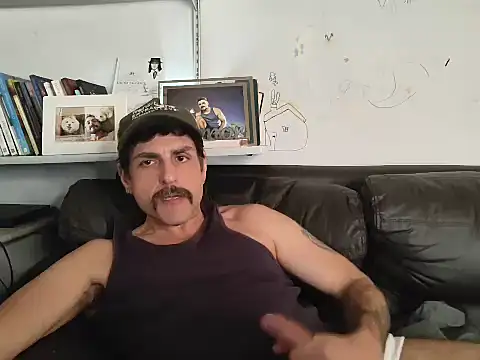 Show de BrunoAlphaBR na webcam