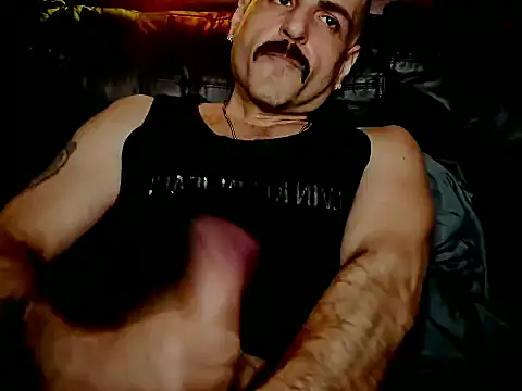 Show de BrunoAlphaBR na webcam