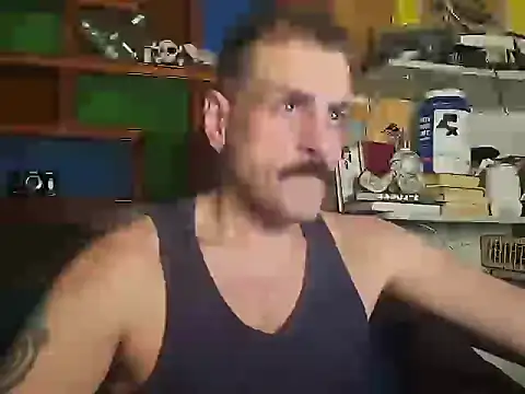Show de webcam de sih4vip
