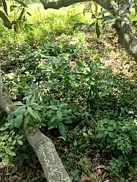 telugubidda333 Webcamshow