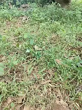 telugubidda333 Show in webcam