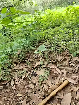 telugubidda333 Show in webcam