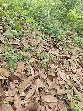 telugubidda333 Webcamshow