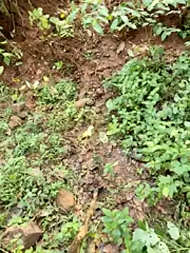 telugubidda333 webcam show