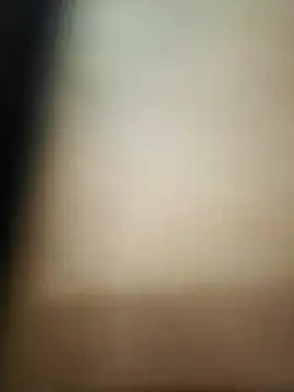 01Rexo Pertunjukan Webcam