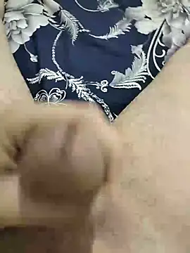 عرض كام alg_12