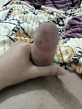 Show Webcam de alg_12