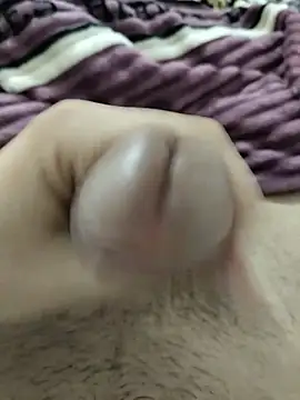 عرض كام alg_12