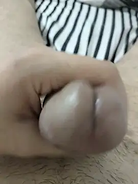 Show webcam de alg_12