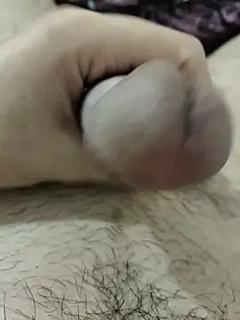 Show webcam de alg_12