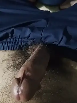 flokiflo Webcam-Show