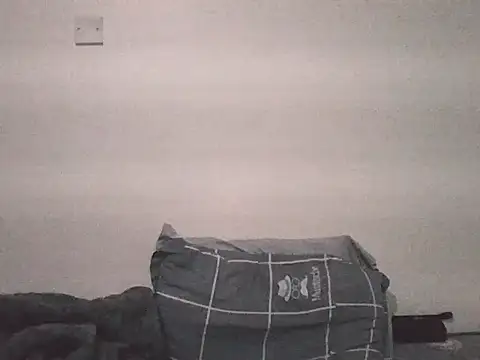 SurXperience Pertunjukan Webcam