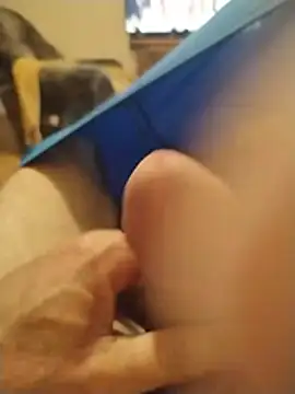 Philebranleur's Webcam Show