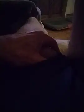 Philebranleur webcam show