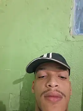 Show Webcam de vector778